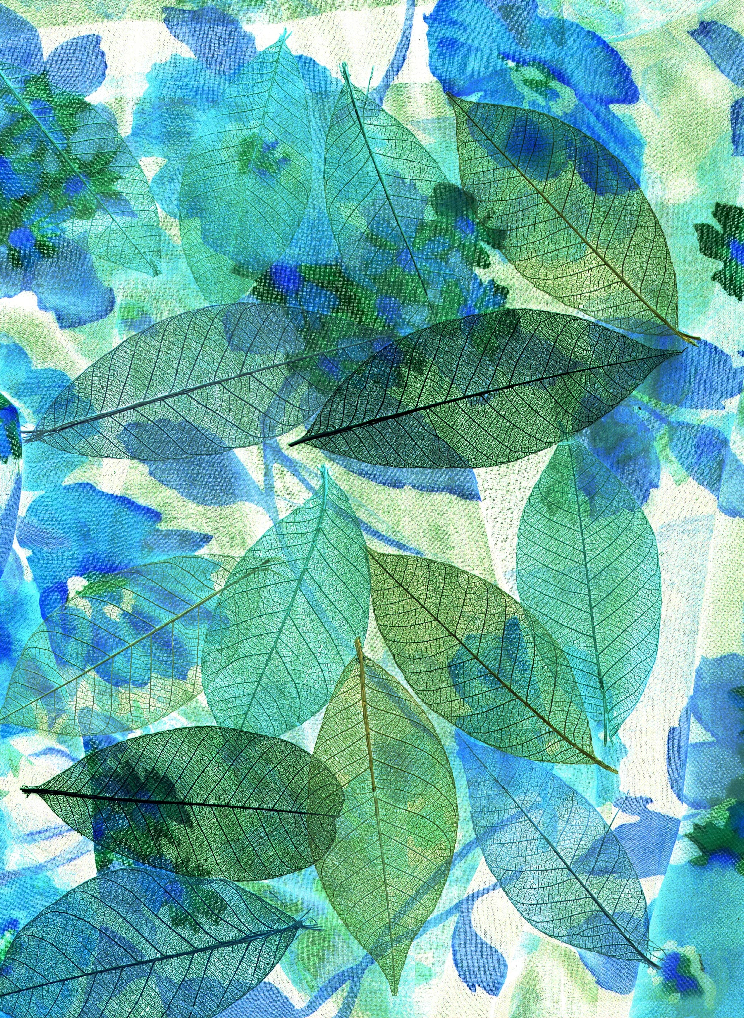 Build Meaningful Adult Friendships